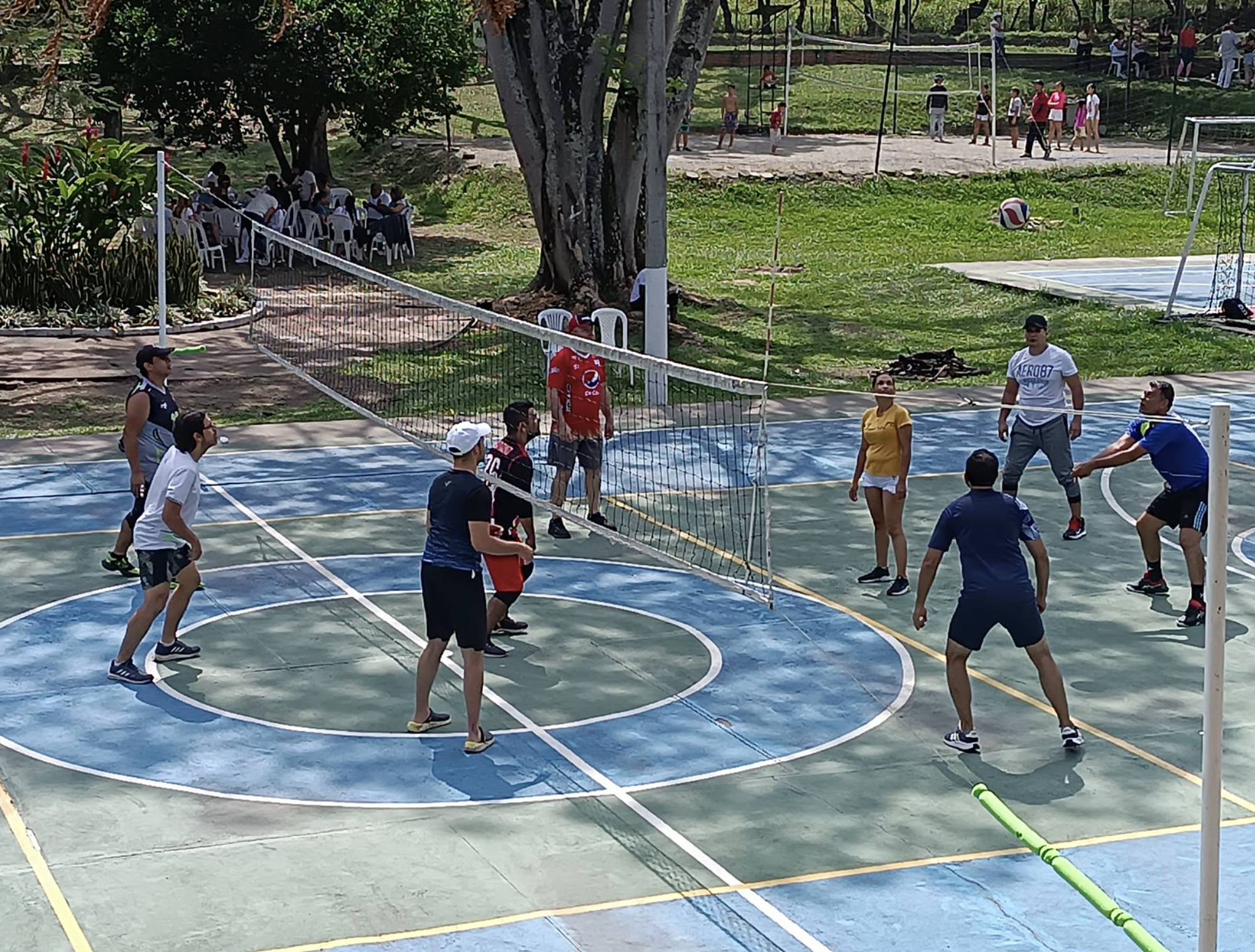 Torneo de Voleibol